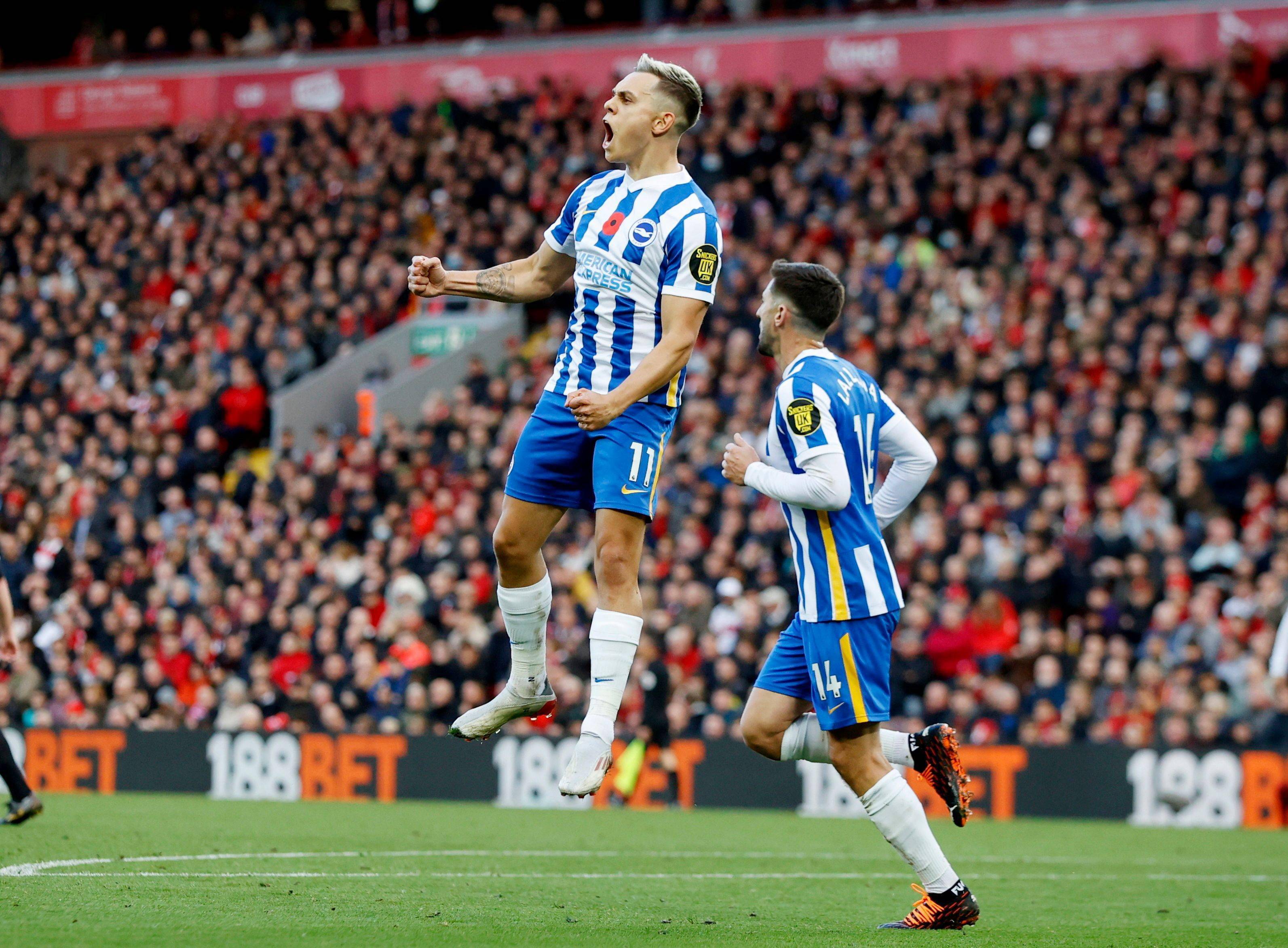 莫的战术价 莫的战术价